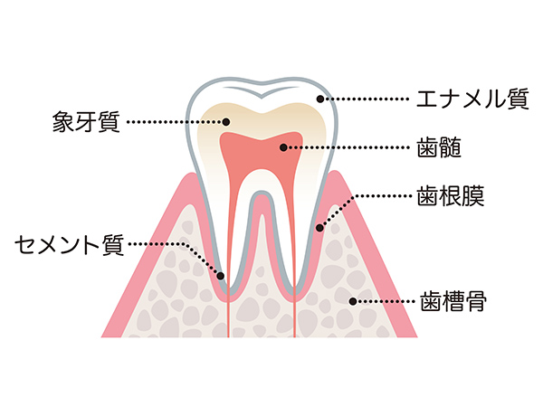 そもそもホワイトニングとは？